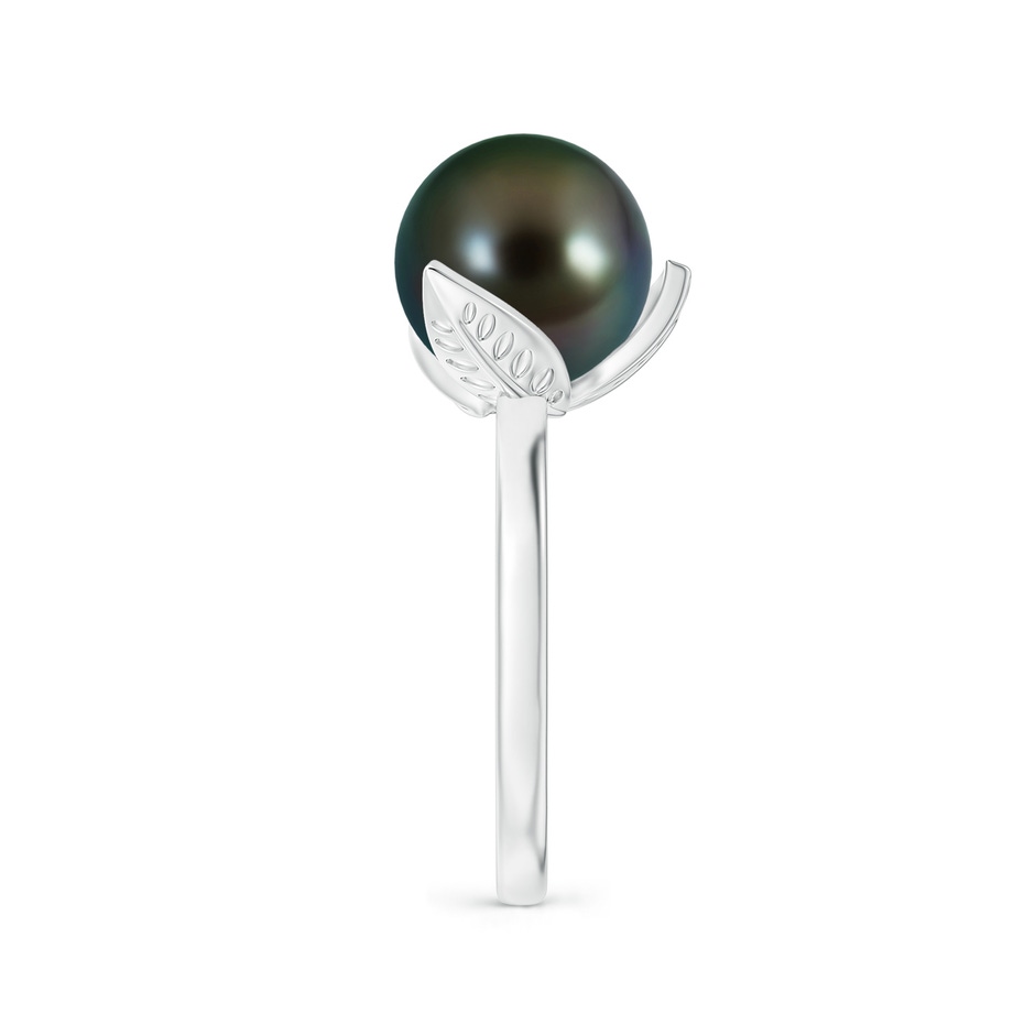 10mm AAAA Trillium Tahitian Pearl Solitaire Ring in White Gold side 2