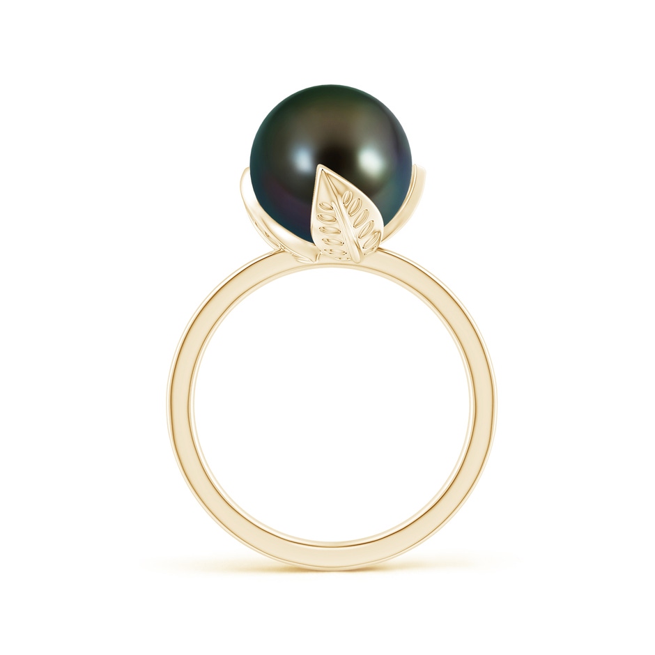 10mm AAAA Trillium Tahitian Pearl Solitaire Ring in Yellow Gold side 1