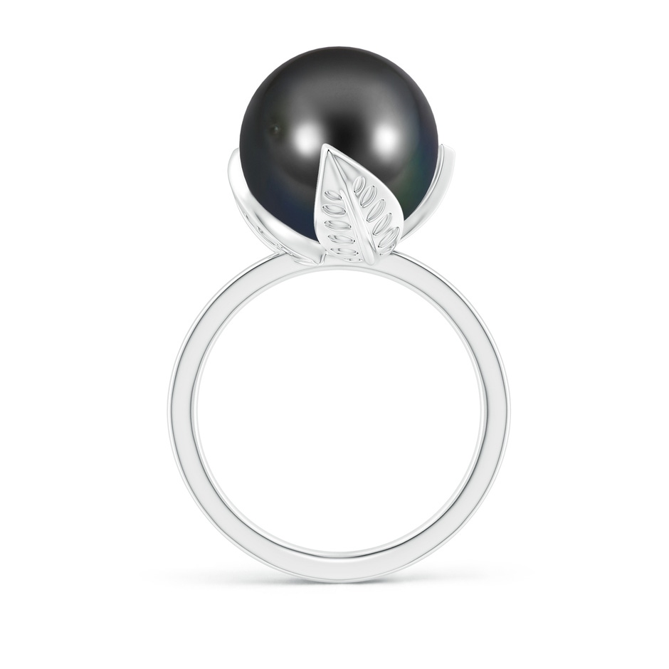 12mm AA Trillium Tahitian Pearl Solitaire Ring in White Gold side 1