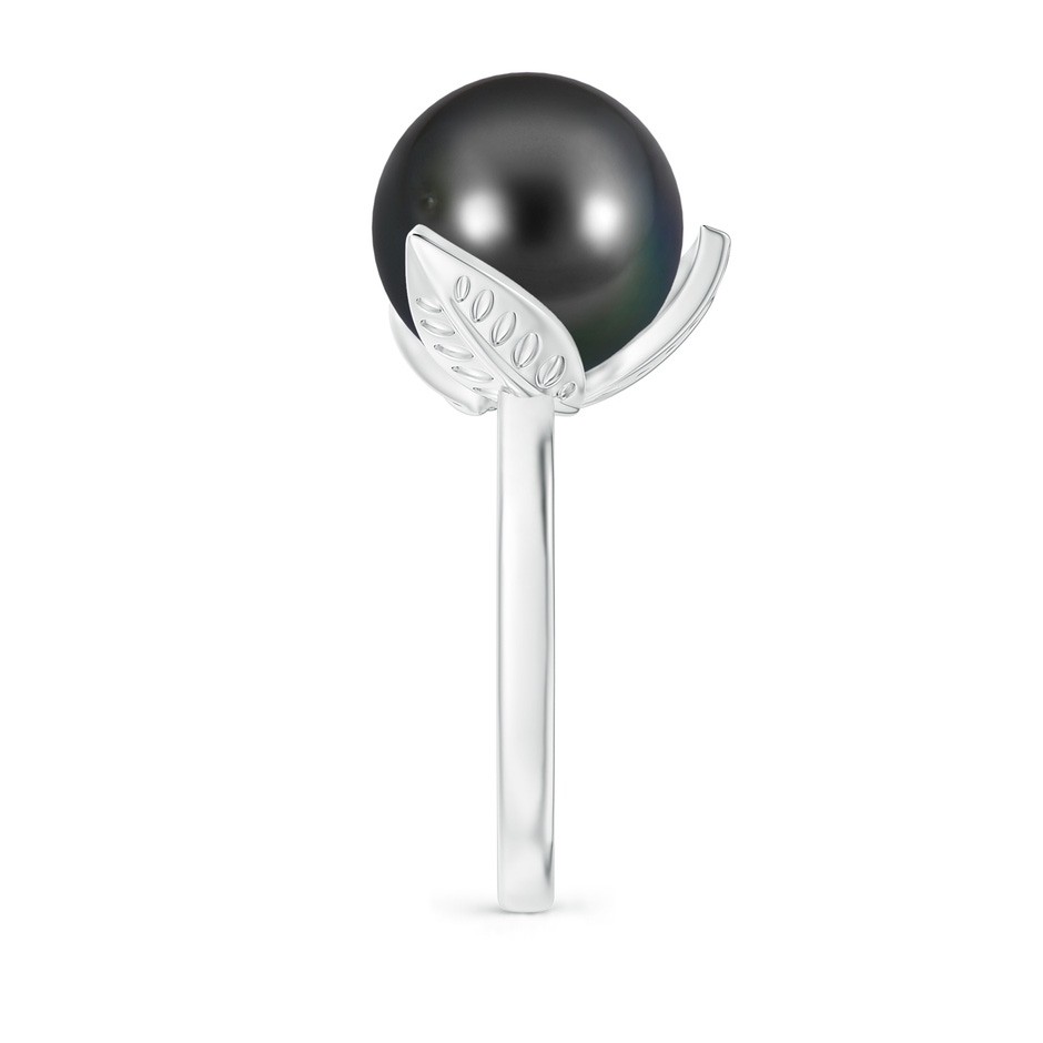 12mm AA Trillium Tahitian Pearl Solitaire Ring in White Gold side 2