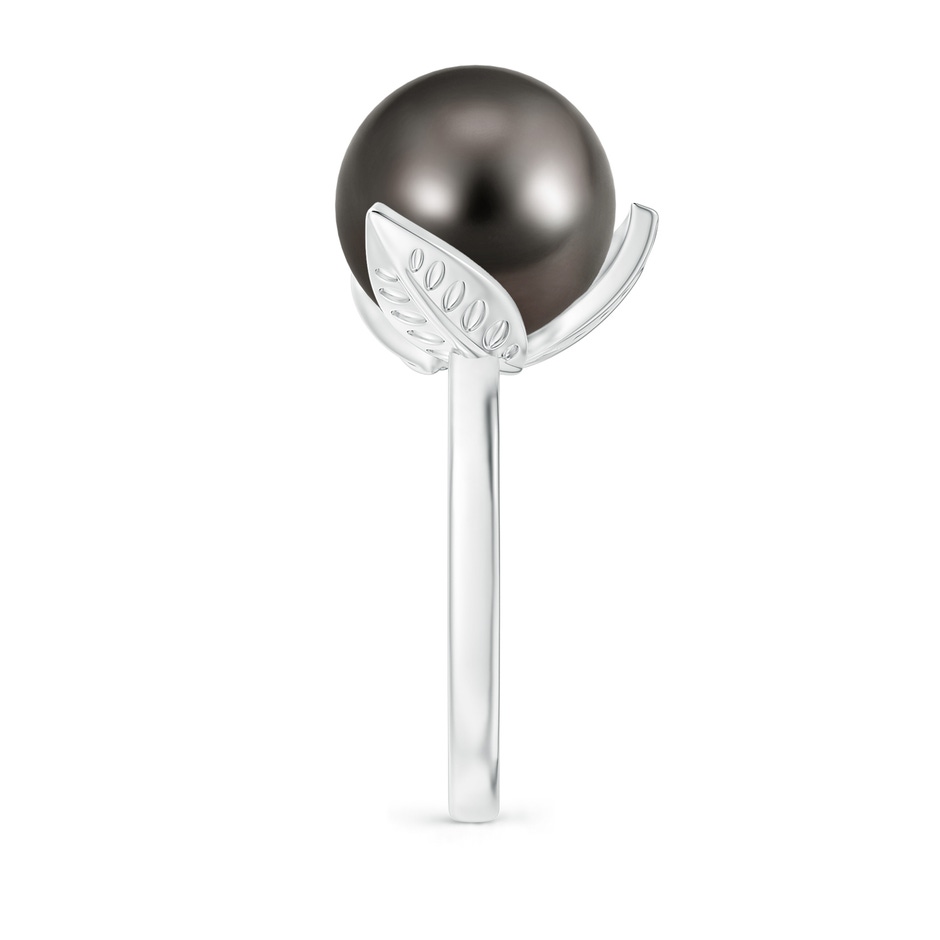 12mm AAA Trillium Tahitian Pearl Solitaire Ring in White Gold side 2