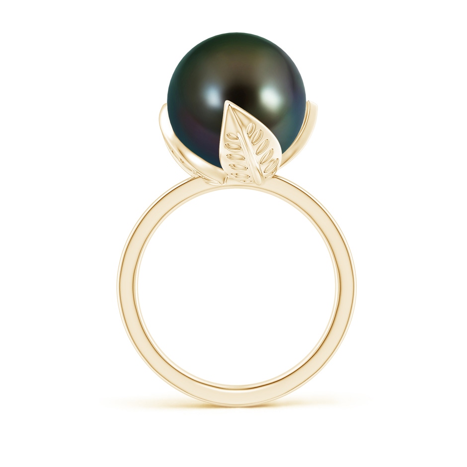 12mm AAAA Trillium Tahitian Pearl Solitaire Ring in Yellow Gold side 1