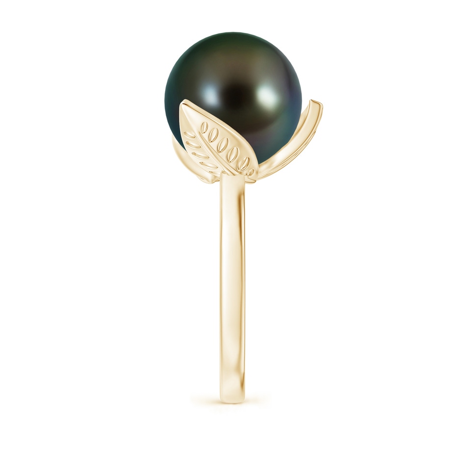 12mm AAAA Trillium Tahitian Pearl Solitaire Ring in Yellow Gold side 2