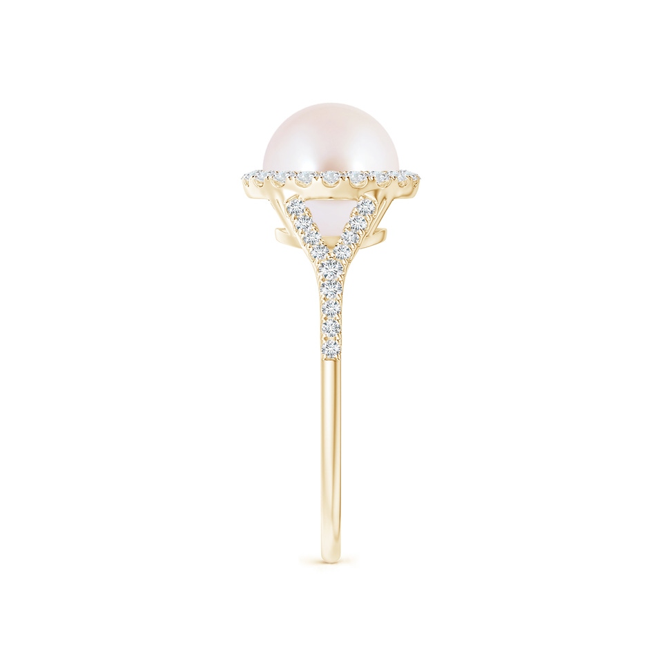 8mm AAA Japanese Akoya Pearl Split Shank Ring with Halo in Yellow Gold side 2