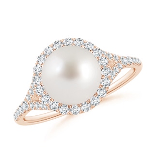 8mm AAA South Sea Pearl Split Shank Ring with Halo in Rose Gold