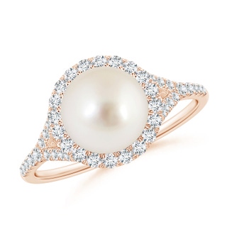 8mm AAAA South Sea Pearl Split Shank Ring with Halo in Rose Gold