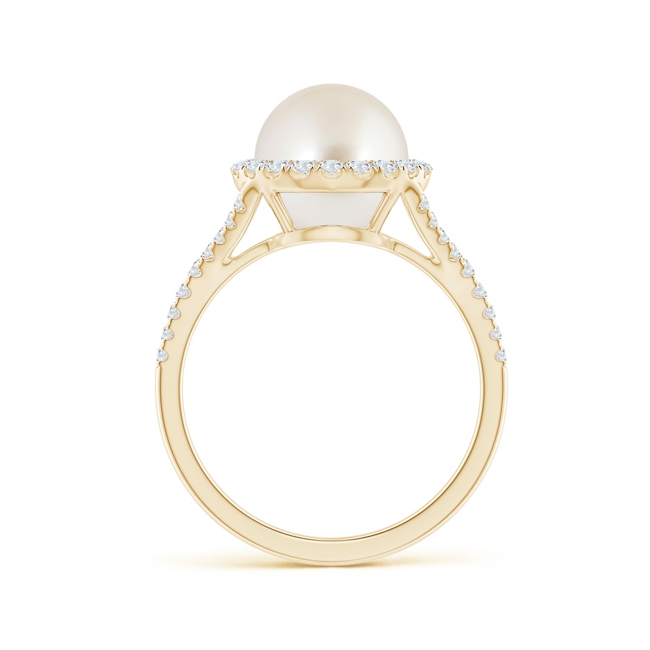 9mm AAAA South Sea Pearl Split Shank Ring with Halo in Yellow Gold side 1