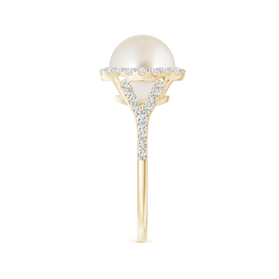 9mm AAAA South Sea Pearl Split Shank Ring with Halo in Yellow Gold side 2