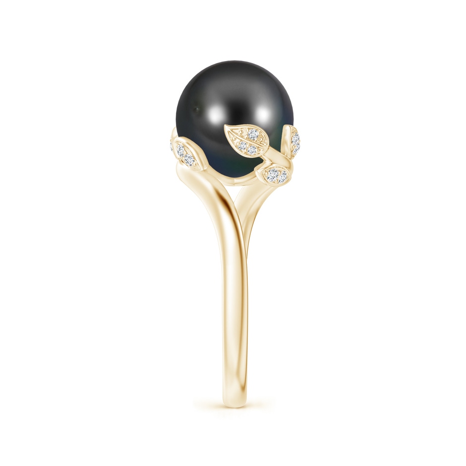 10mm AA Tahitian Pearl Olive Leaf Bypass Ring in Yellow Gold side 2