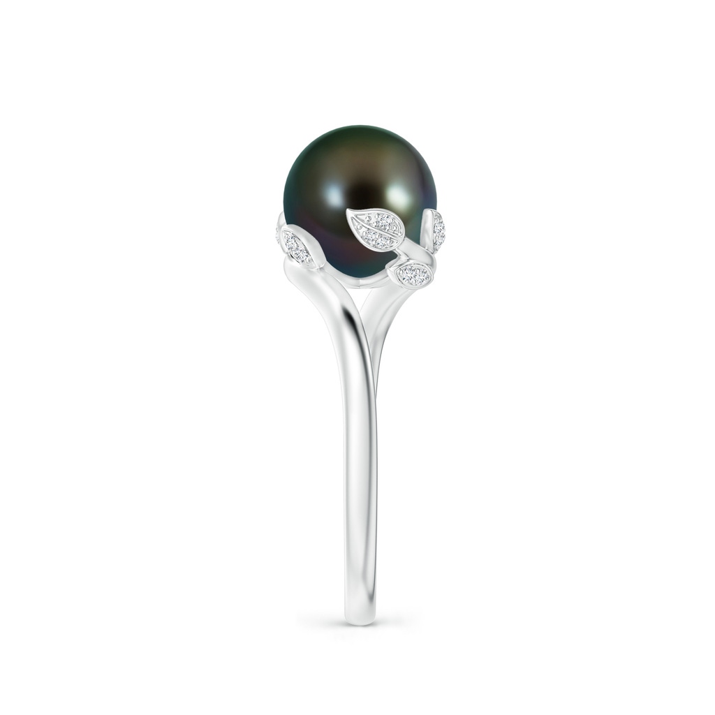 8mm AAAA Tahitian Pearl Olive Leaf Bypass Ring in White Gold Side 2