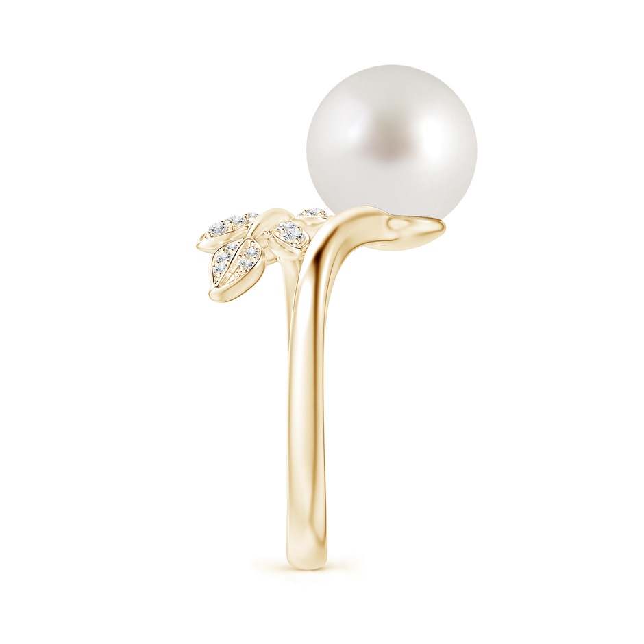 10mm AAA South Sea Pearl Olive Leaf Wrap Ring in Yellow Gold side 2