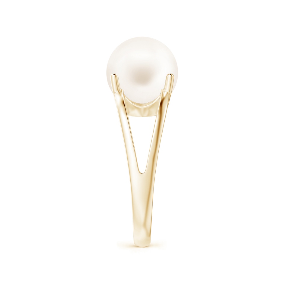 10mm AA Solitaire Freshwater Pearl Split Shank Ring in Yellow Gold side 2