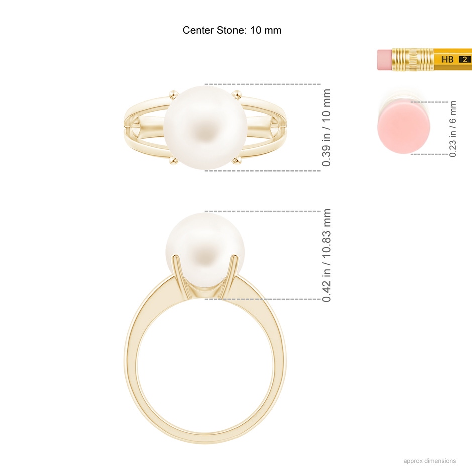 10mm AA Solitaire Freshwater Pearl Split Shank Ring in Yellow Gold ruler