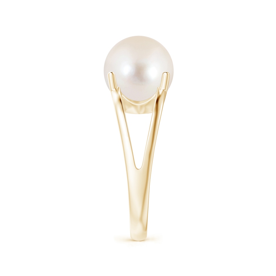 10mm AAAA Solitaire Freshwater Pearl Split Shank Ring in Yellow Gold side 2