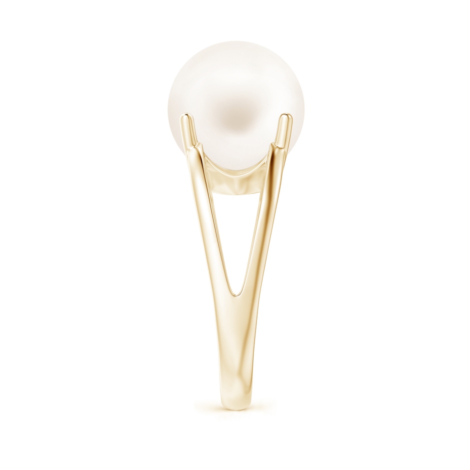 12mm AA Solitaire Freshwater Pearl Split Shank Ring in Yellow Gold side 2