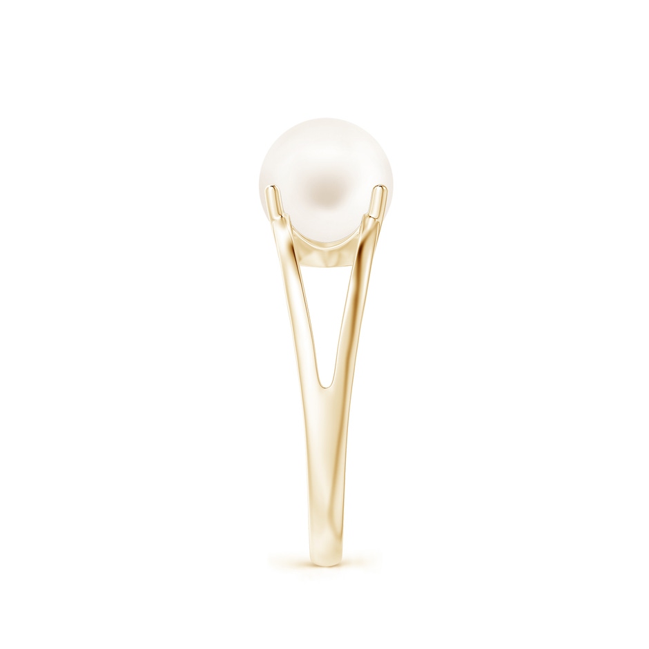 8mm AA Solitaire Freshwater Pearl Split Shank Ring in Yellow Gold side 2