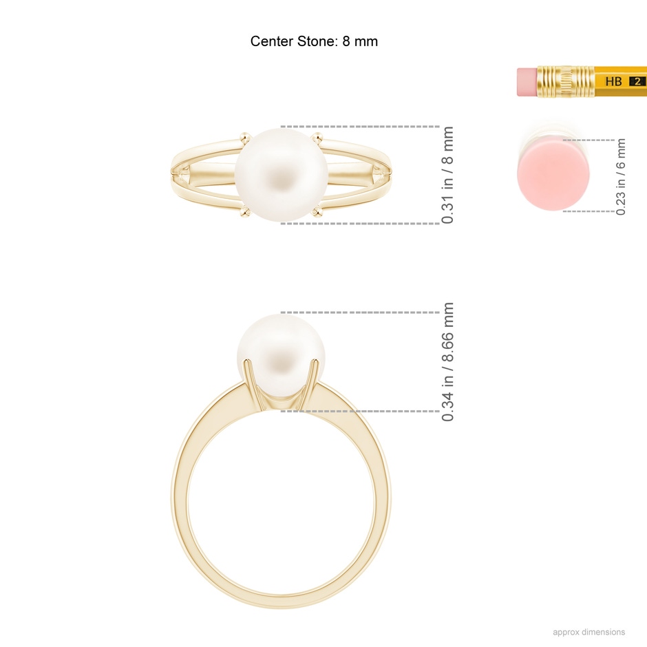 8mm AA Solitaire Freshwater Pearl Split Shank Ring in Yellow Gold ruler