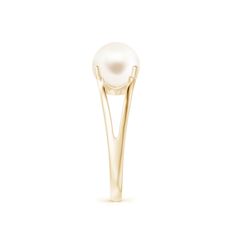 8mm AAA Solitaire Freshwater Pearl Split Shank Ring in Yellow Gold side 2