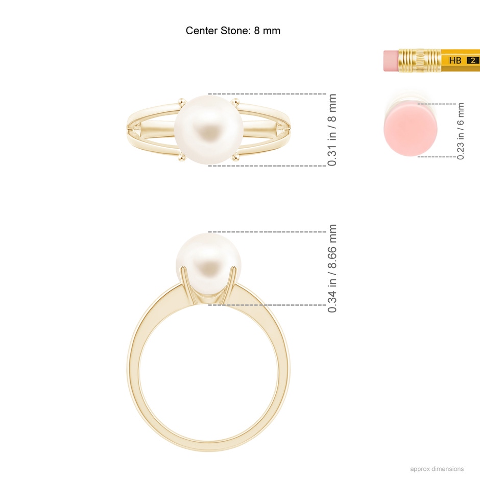 8mm AAA Solitaire Freshwater Pearl Split Shank Ring in Yellow Gold ruler