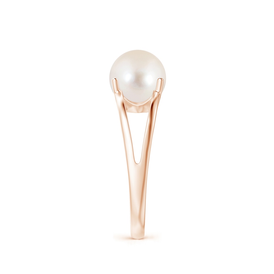 8mm AAAA Solitaire Freshwater Pearl Split Shank Ring in Rose Gold side 2