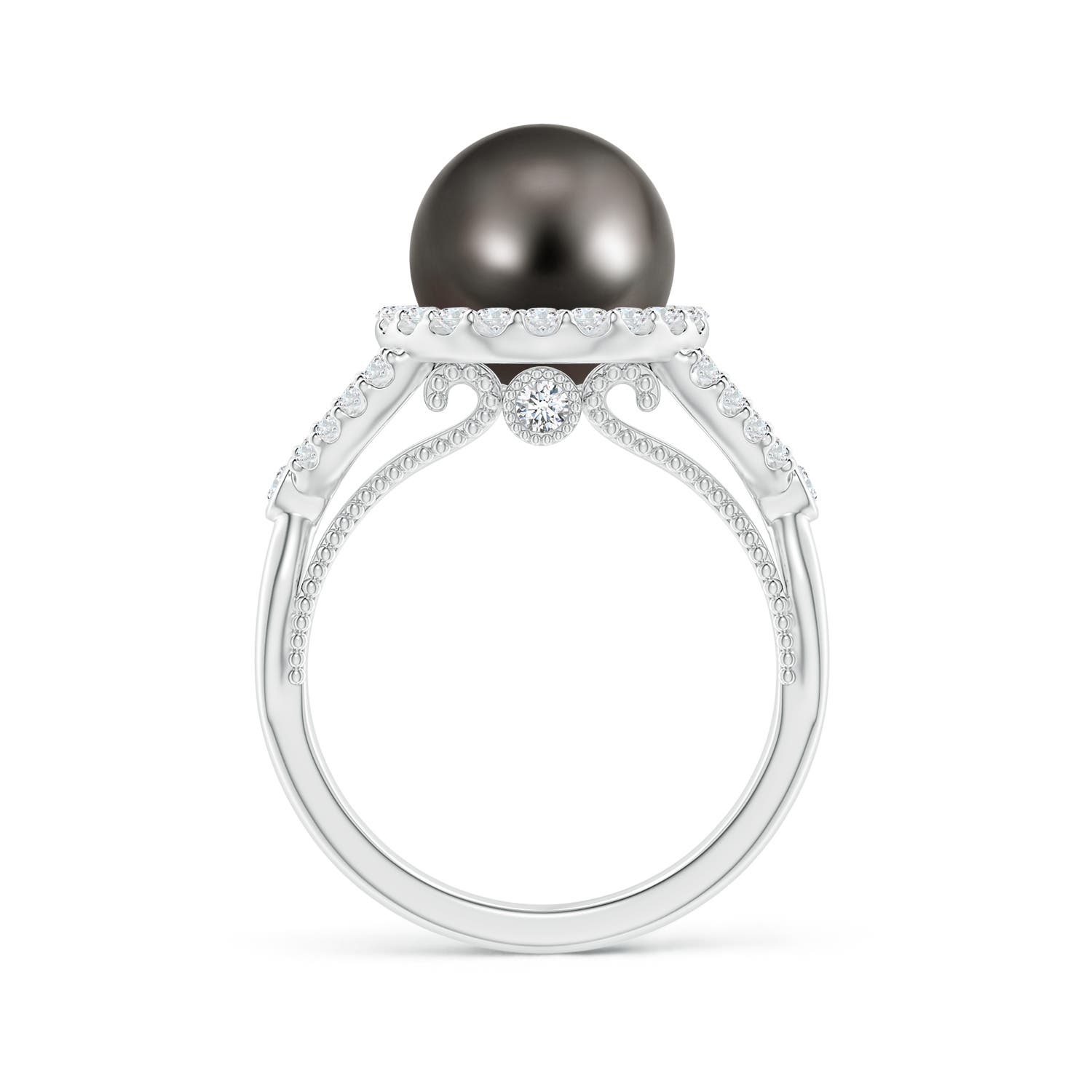 10mm AAA Tahitian Pearl Halo Infinity Ring in White Gold