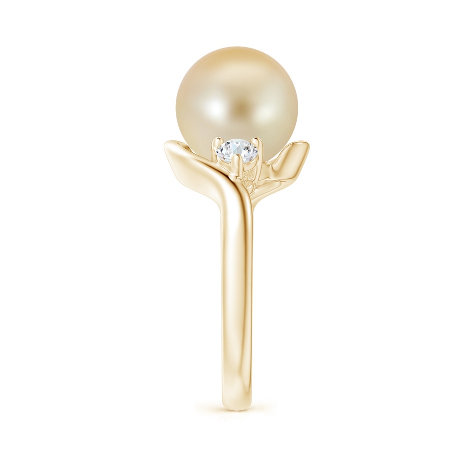 10mm AAA Classic Golden South Sea Pearl Bypass Ring in Yellow Gold side 2