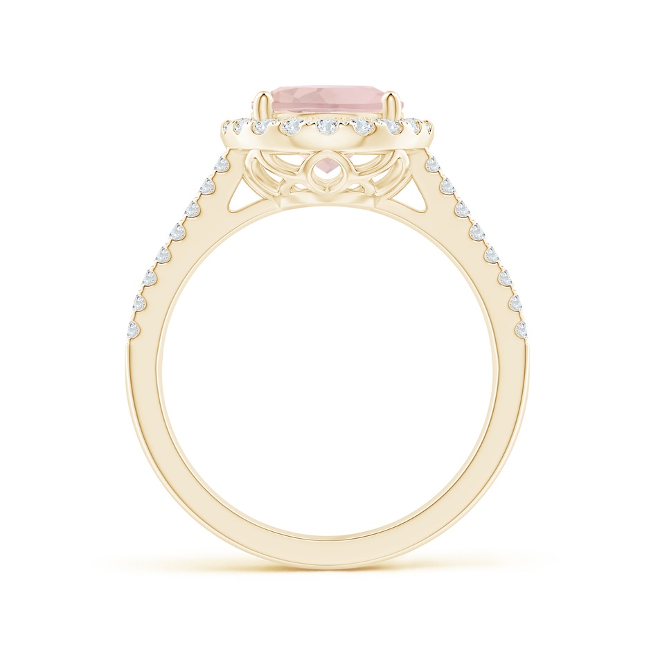 10x8mm A Oval Morganite Split Shank Halo Ring with Diamonds in Yellow Gold side-1