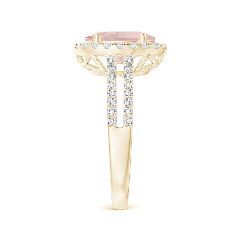 10x8mm A Oval Morganite Split Shank Halo Ring with Diamonds in Yellow Gold side-2