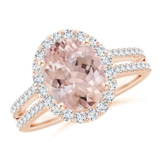 Oval AA Morganite
