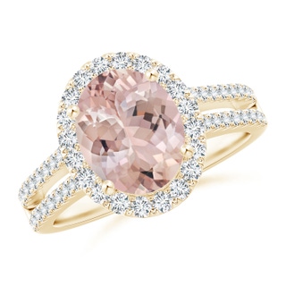 Oval AA Morganite