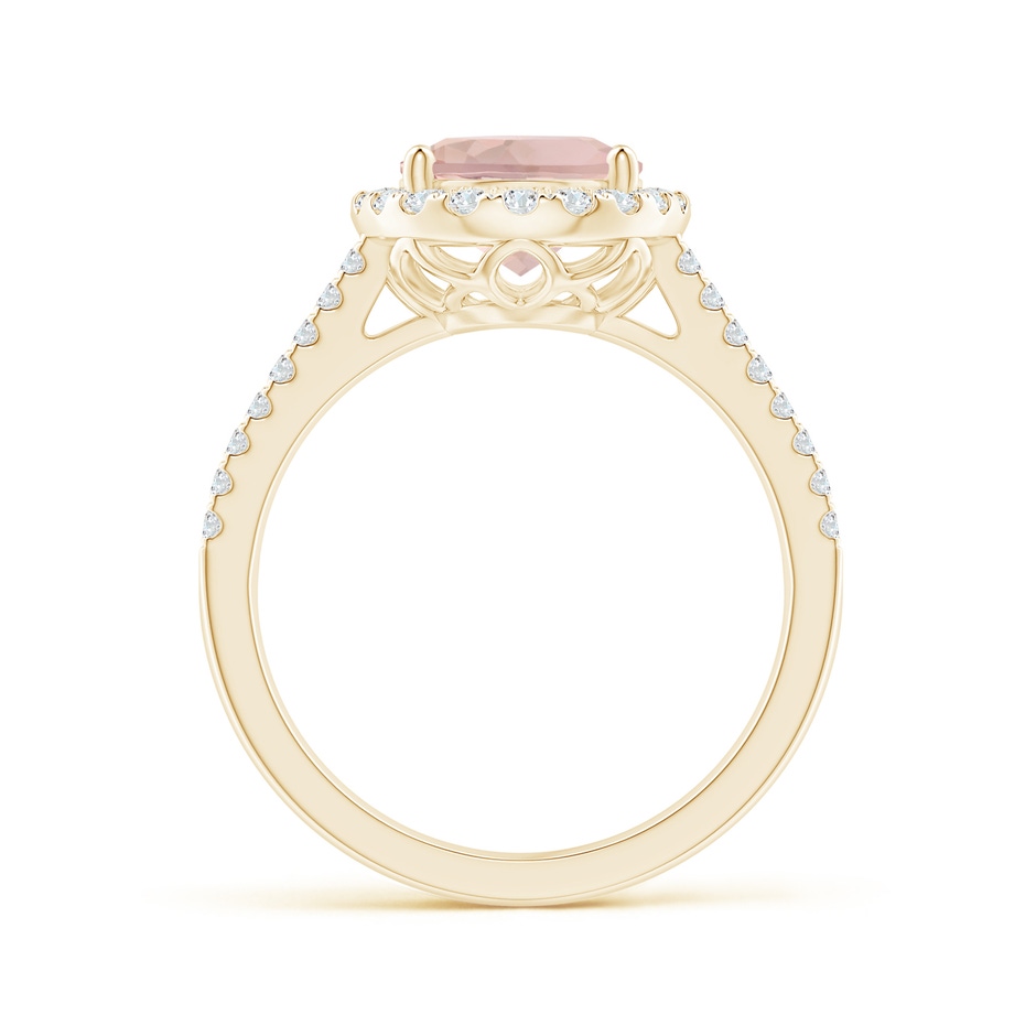 10x8mm AA Oval Morganite Split Shank Halo Ring with Diamonds in Yellow Gold side-1