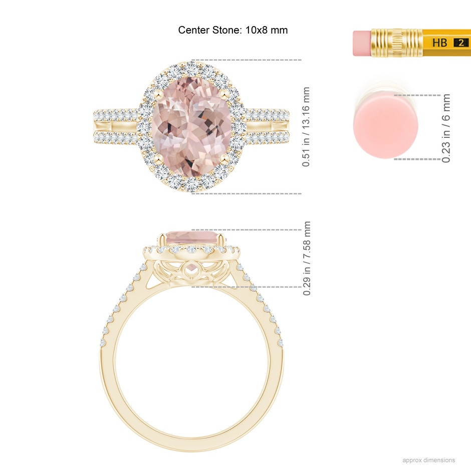 10x8mm AA Oval Morganite Split Shank Halo Ring with Diamonds in Yellow Gold ruler