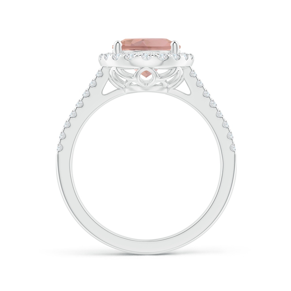10x8mm AAAA Oval Morganite Split Shank Halo Ring with Diamonds in P950 Platinum side-1