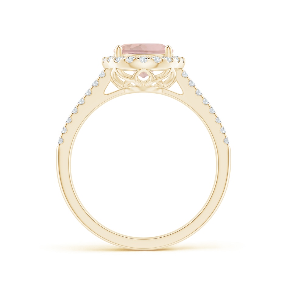 9x7mm AA Oval Morganite Split Shank Halo Ring with Diamonds in Yellow Gold side-1