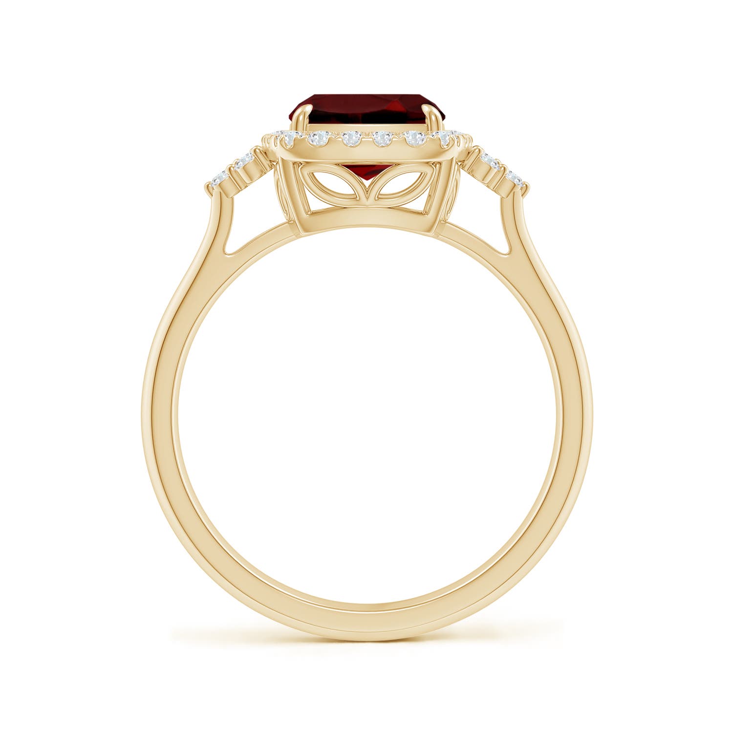 AAAA - Garnet / 3.16 CT / 14 KT Yellow Gold