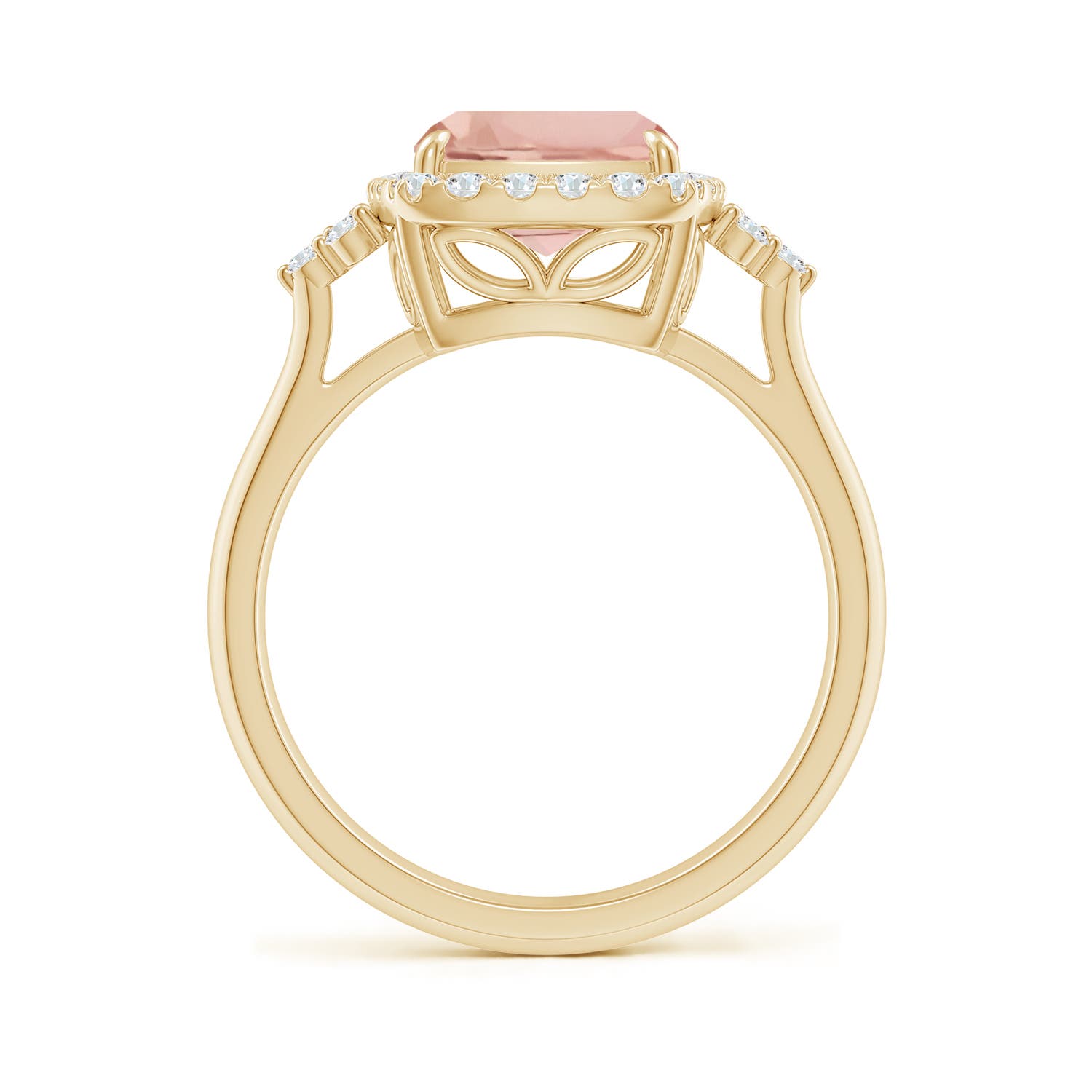 AAA - Morganite / 3.05 CT / 14 KT Yellow Gold