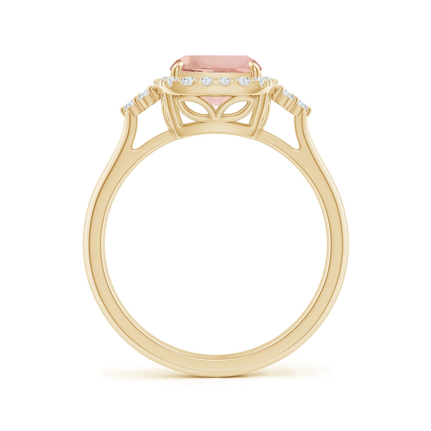 AAA - Morganite / 2.06 CT / 14 KT Yellow Gold