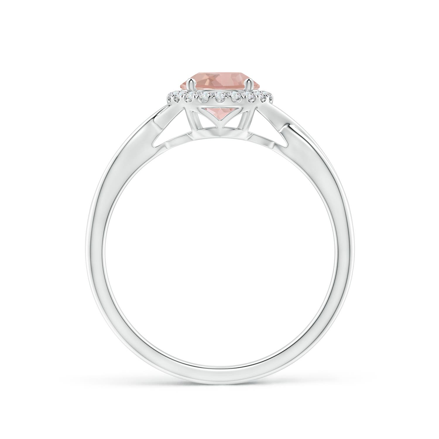 AAA - Morganite / 0.8 CT / 14 KT White Gold