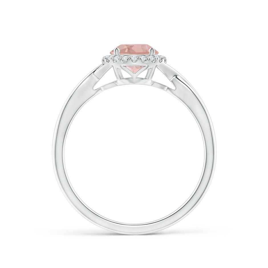 6mm AAA Round Morganite Halo Ring with Criss Cross Shank in White Gold side 1