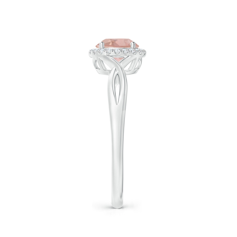 6mm AAA Round Morganite Halo Ring with Criss Cross Shank in White Gold side 2