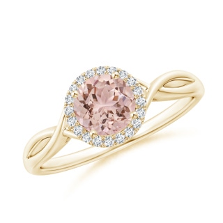 6mm AAA Round Morganite Halo Ring with Criss Cross Shank in Yellow Gold