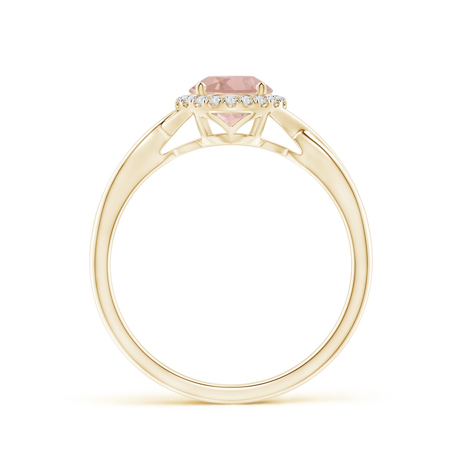 AAA - Morganite / 0.8 CT / 14 KT Yellow Gold