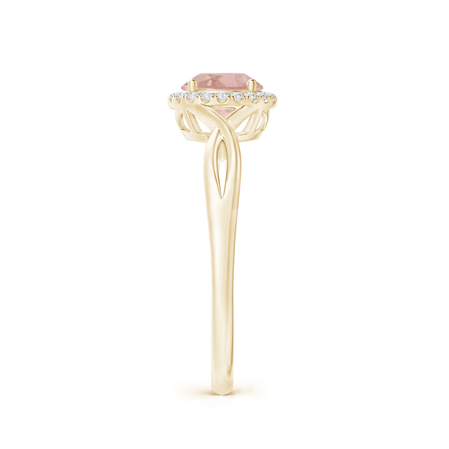 AAA - Morganite / 0.8 CT / 14 KT Yellow Gold