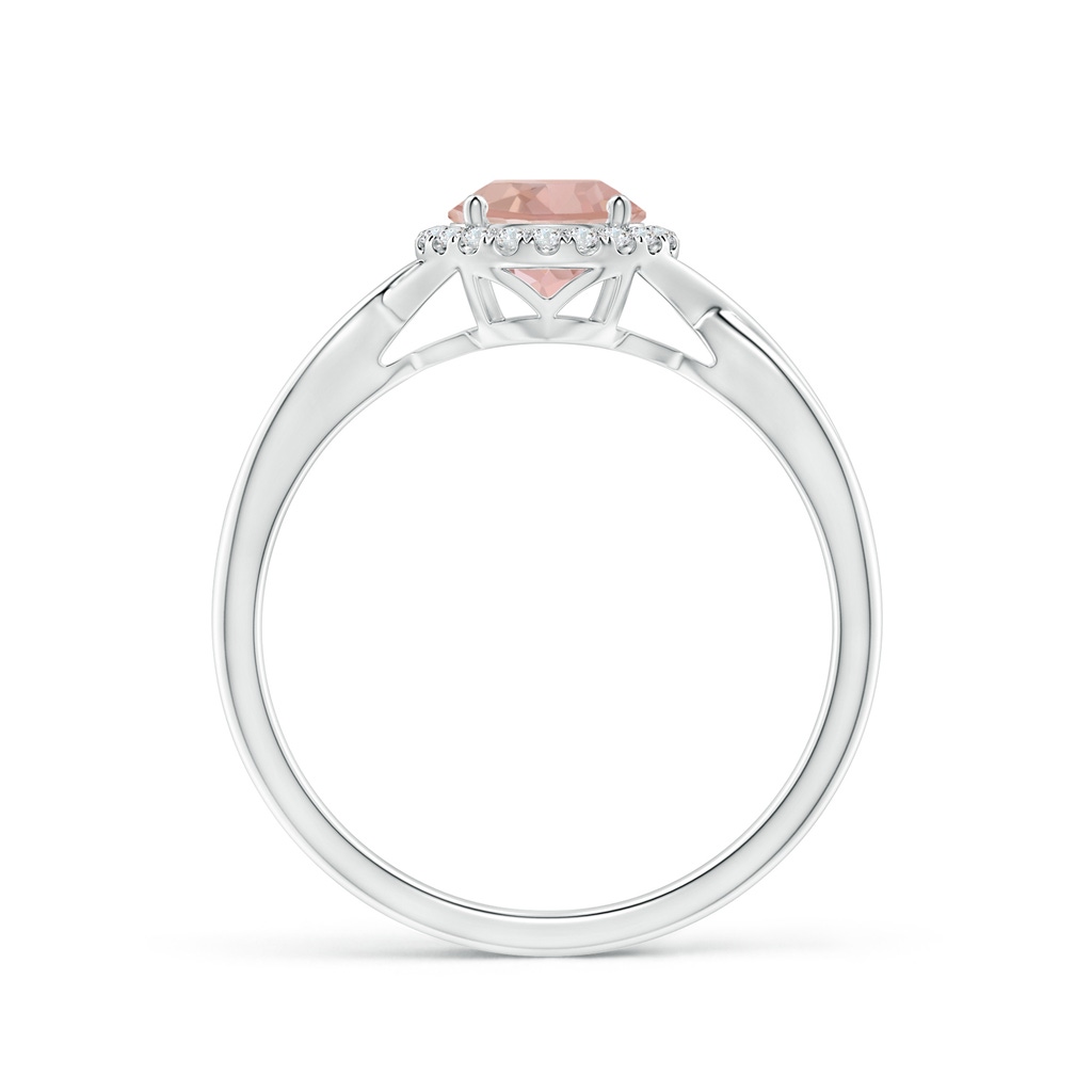 6mm AAAA Round Morganite Halo Ring with Criss Cross Shank in White Gold Side 1