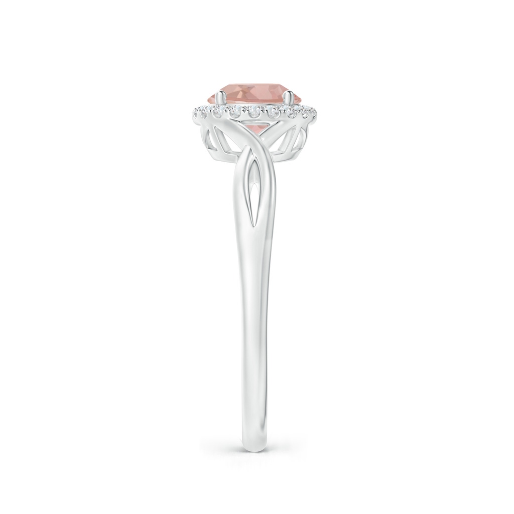 6mm AAAA Round Morganite Halo Ring with Criss Cross Shank in White Gold Side 2