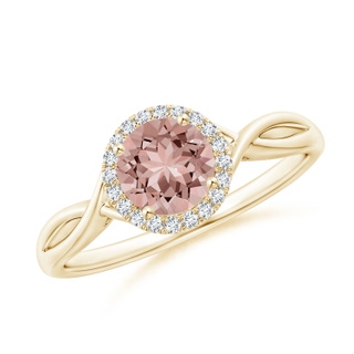 6mm AAAA Round Morganite Halo Ring with Criss Cross Shank in Yellow Gold