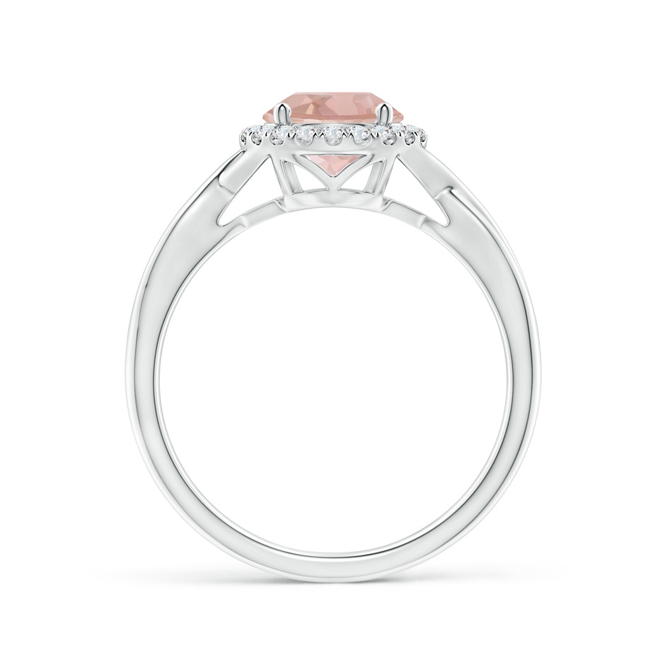 7mm AAA Round Morganite Halo Ring with Criss Cross Shank in White Gold side 1