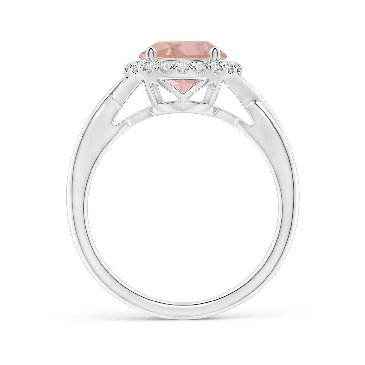 AAAA - Morganite / 1.87 CT / 14 KT White Gold