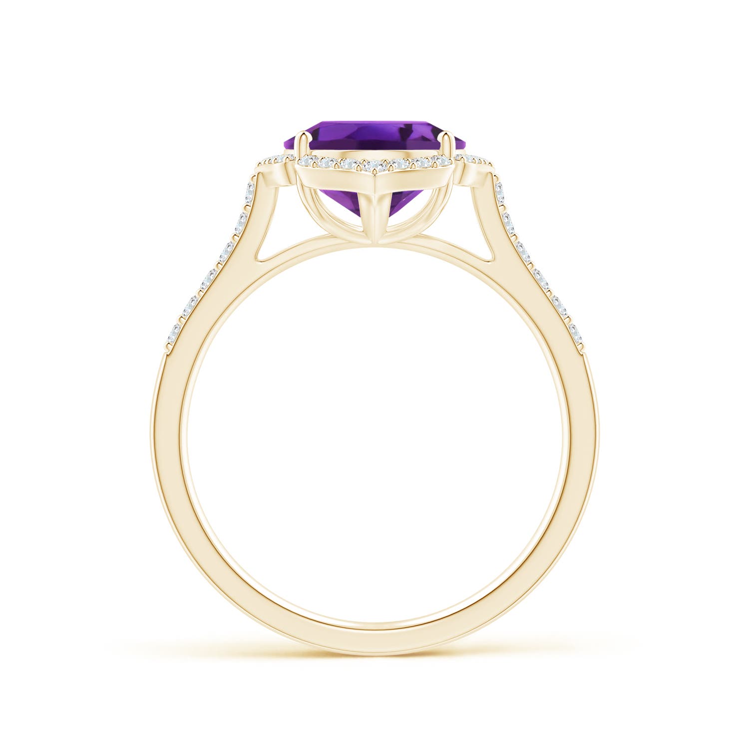 AAAA - Amethyst / 2.51 CT / 14 KT Yellow Gold