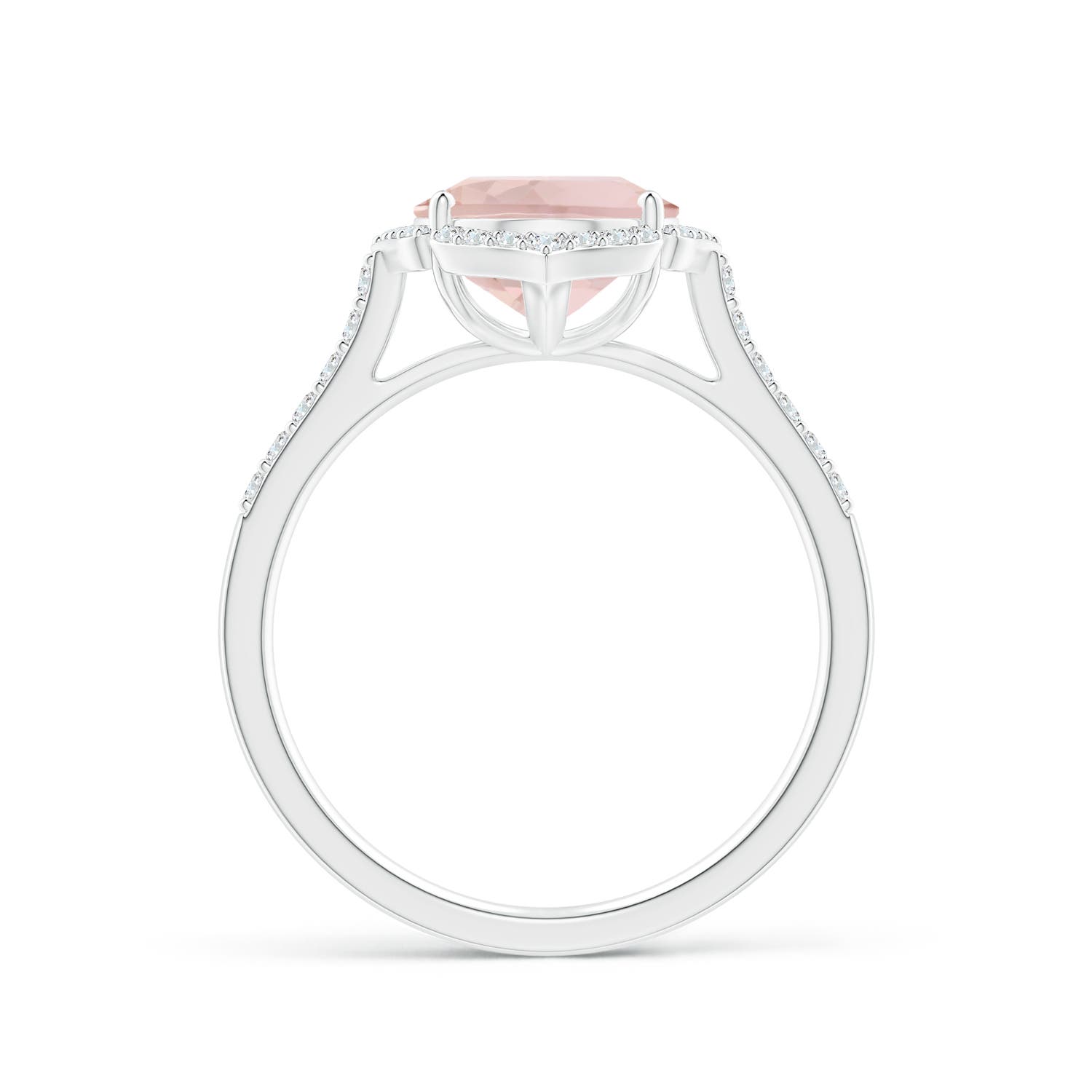 A - Morganite / 2.71 CT / 14 KT White Gold